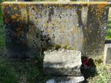 image of grave number 100809